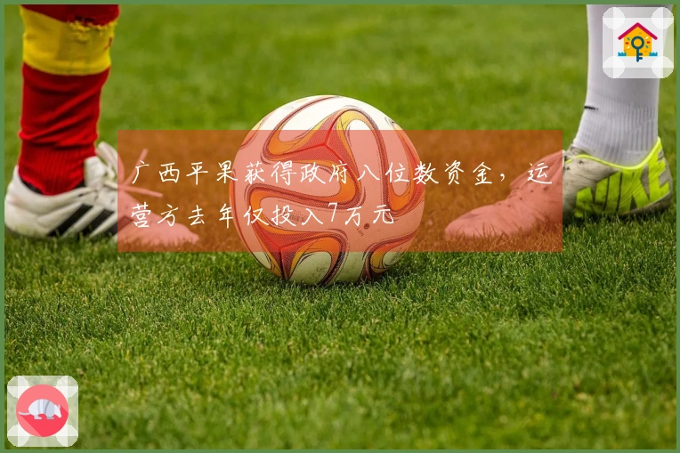 广西平果获得政府八位数资金，运营方去年仅投入7万元