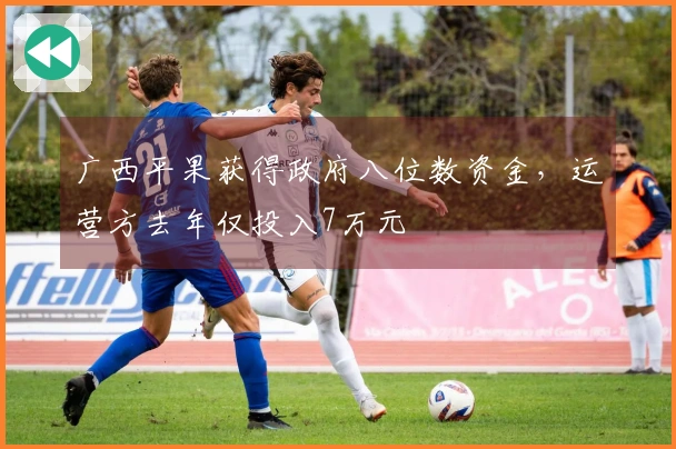 广西平果获得政府八位数资金，运营方去年仅投入7万元
